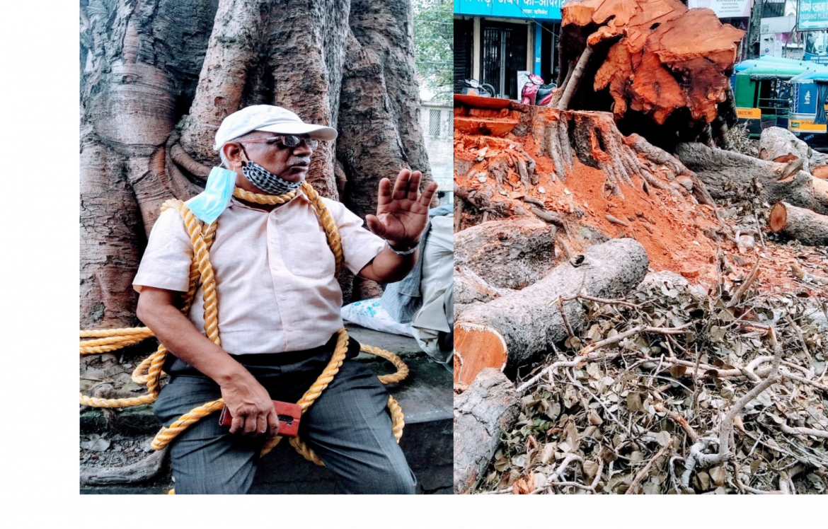 सेवानिवृत अधिकारी हेमंत गुप्ता ने पीपल के पेड़ को कटने से बचाने के लिए स्वयं पर बाँधी रस्सी