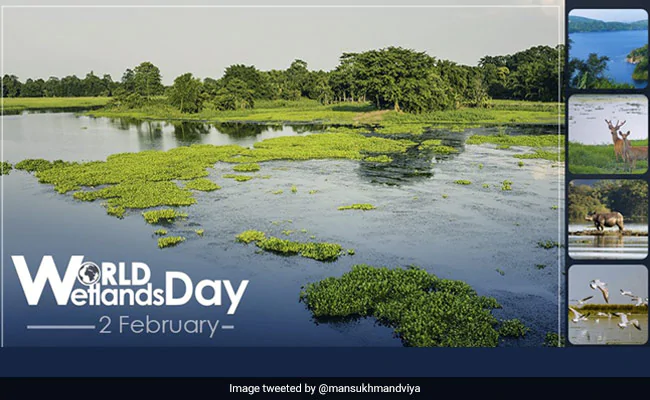 २ फरवरी: विश्व आर्द्रभूमि दिवस (World Wetlands Day) कब से और क्यों मनाया जाता है?