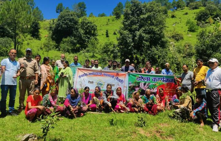 राजकीय महाविद्यालय चंद्रबदनी एवं ग्राम पंचायत झल्ड द्वारा मनाया गया हरेला पर्व