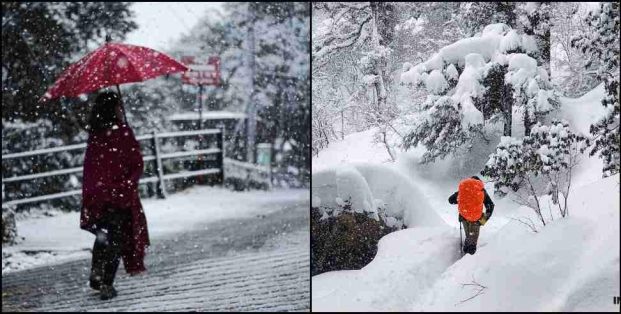 उत्तराखंड में ताजा बर्फबारी से और बढ़ा ठण्ड का कहर