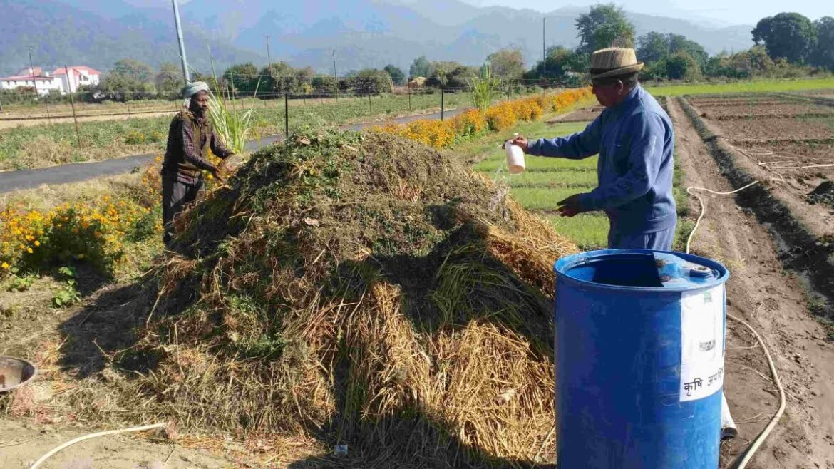 जैविक खेती के क्षेत्र में किसान नरेंद्र मेहरा ने किया अनूठा प्रयोग…