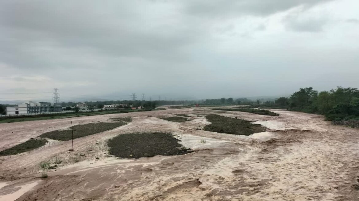 टनकपुर: किरोड़ा नाले के उफान में बहा बाइक सवार युवक, SDRF और पुलिस ने बचाई जान