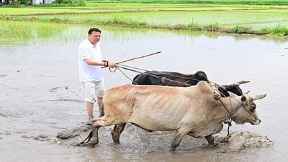 मुख्यमंत्री धामी ने खेत में की धान रोपाई, कहा- किसानों का परिश्रम है हमारी संस्कृति की जड़
