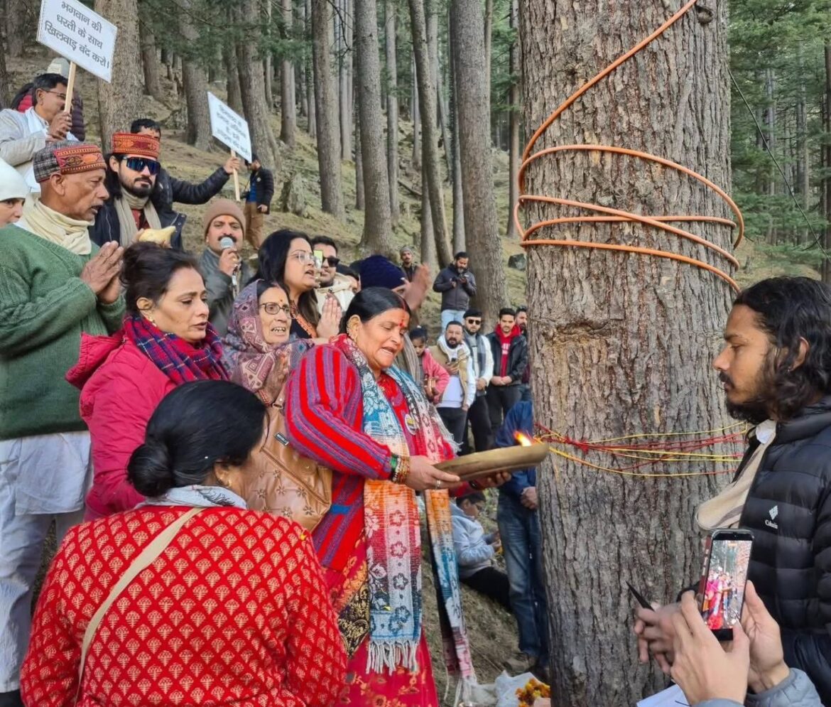 गंगोत्री हाईवे पर देवदार कटान के खिलाफ भड़का विरोध, स्थानीय लोग उतरे सड़कों पर — ‘रक्षा सूत्र’ आंदोलन शुरू