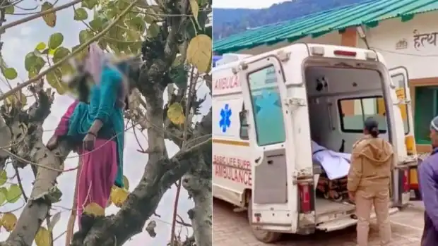 दुःखद: हाईटेंशन लाइन की चपेट में आने से महिला की मौत, चारा काटते समय हुआ हादसा