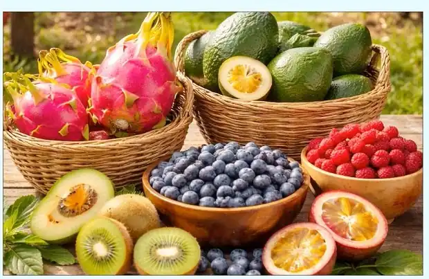 बिना बिजली सुखेंगे फल, जियोथर्मल तकनीक से किसानों को बड़ा फायदा