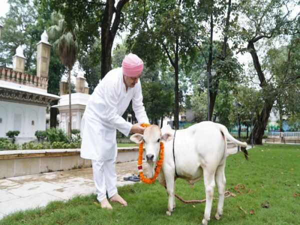 देहरादून पहुंची दुनिया की सबसे छोटी नैनो गाय, SGRRU में होगा वैज्ञानिक अध्ययन…